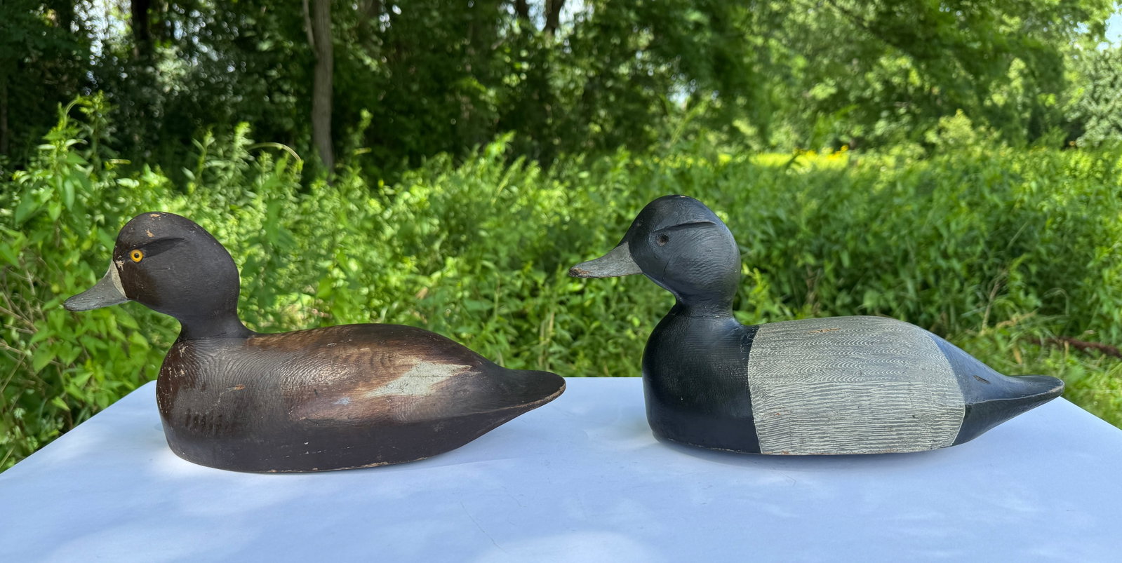 Chauncey Wheeler Hen & Drake Bluebill Decoys (1 of 6)
