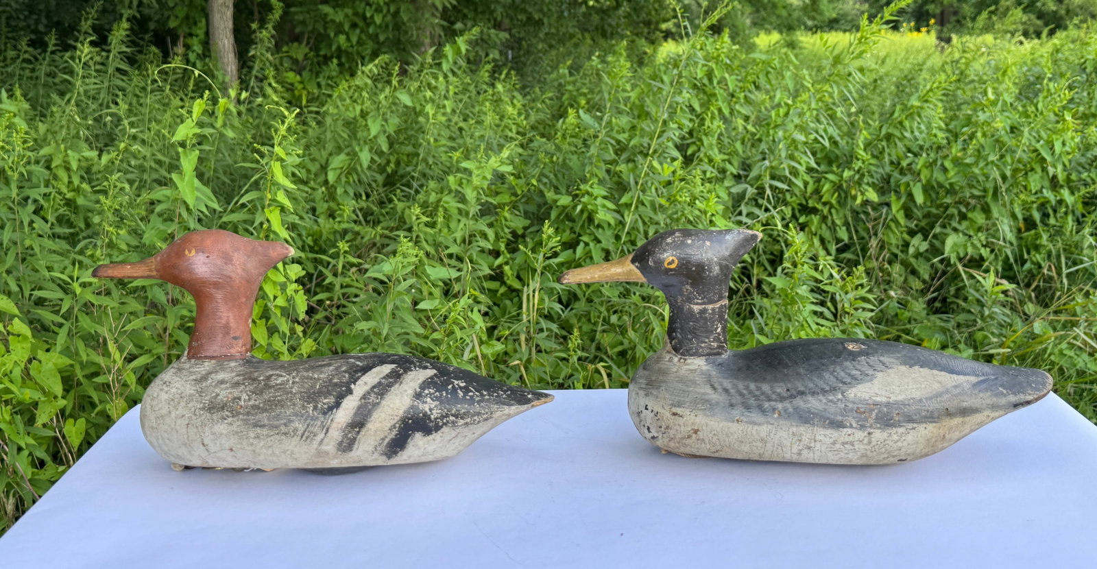 Pair of Red Breasted Merganser Duck Decoys (1 of 6)