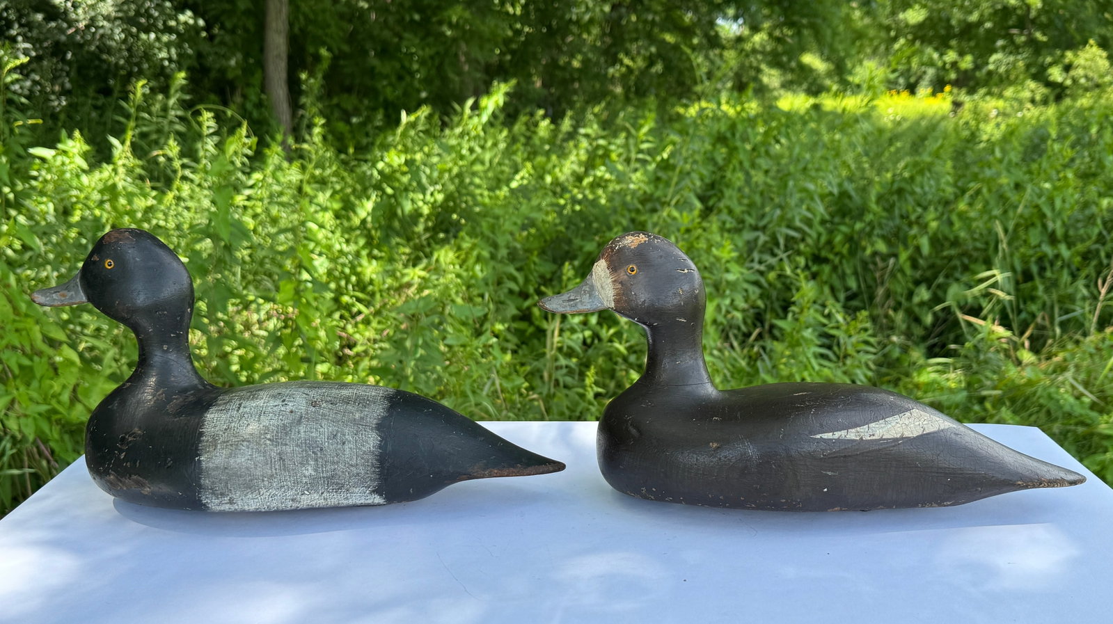 Alex Bay Hen & Drake Bluebill Duck Decoys (1 of 6)