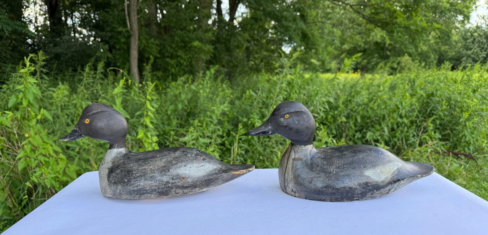 Pair of St. Lawrence River Duck Decoys (1 of 6)