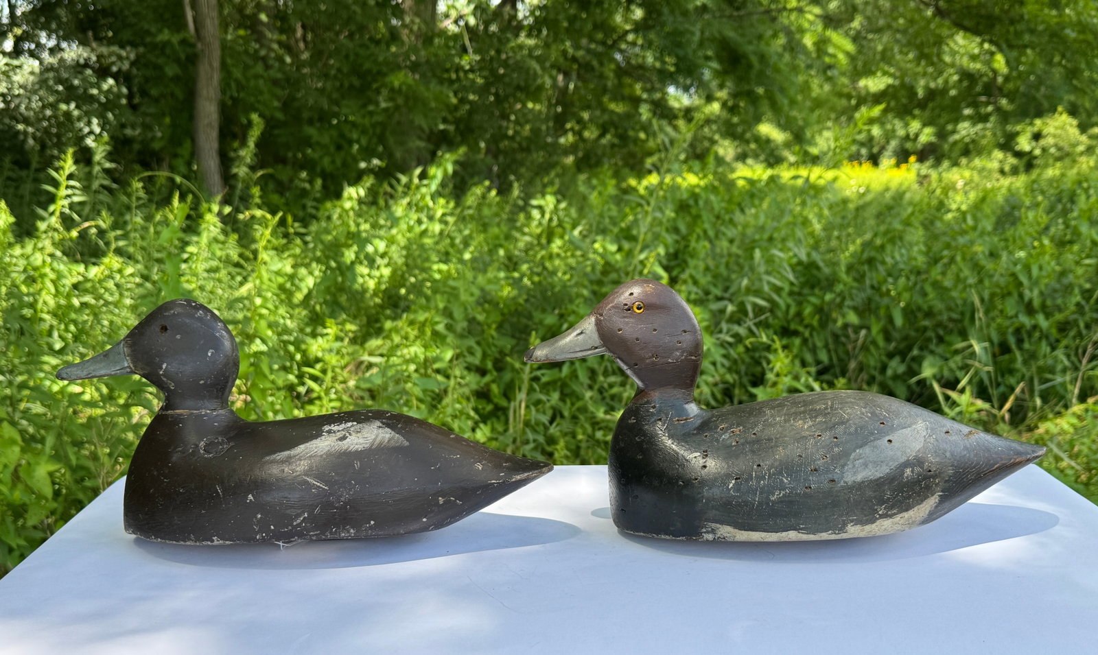 Pair of St. Lawrence River Redhead Duck Decoys (1 of 6)