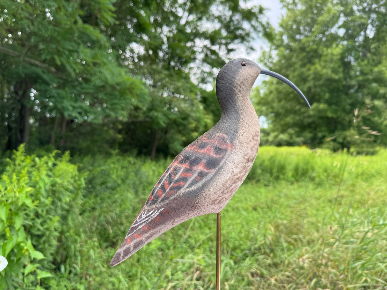 Herter Brothers Curlew Shorebird (1 of 4)