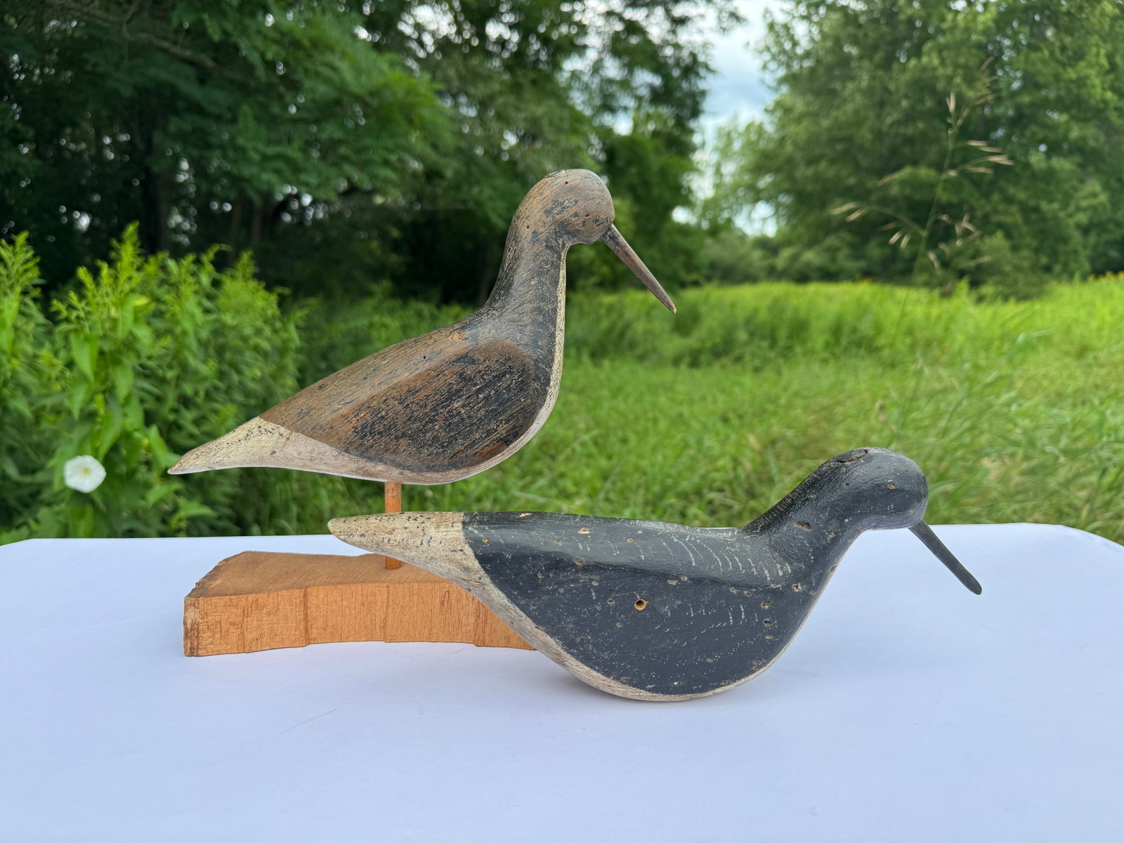 Pair of Vintage Shorebirds (1 of 3)