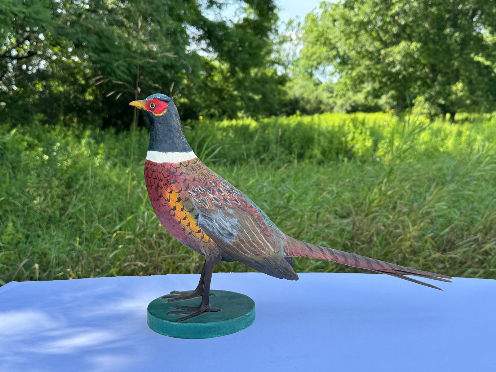 Hazel Tyrrell Ring Neck Pheasant, Pin & Newspaper (1 of 8)