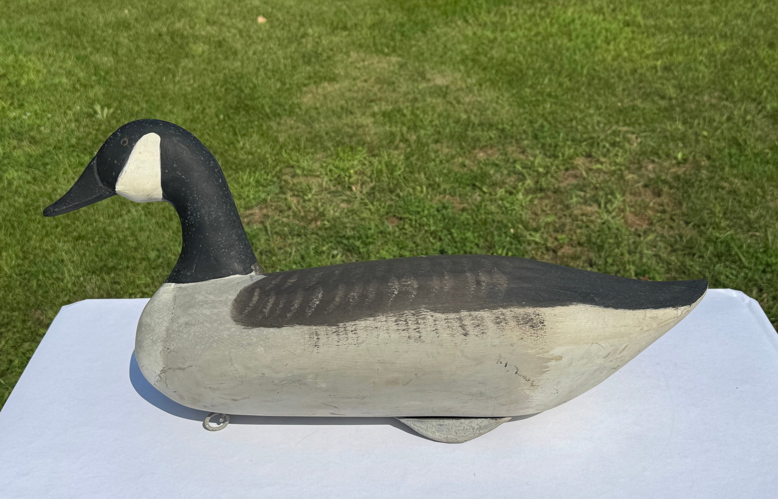 J. Evans McKinney, Elkton, MD Canadian Goose (1 of 5)