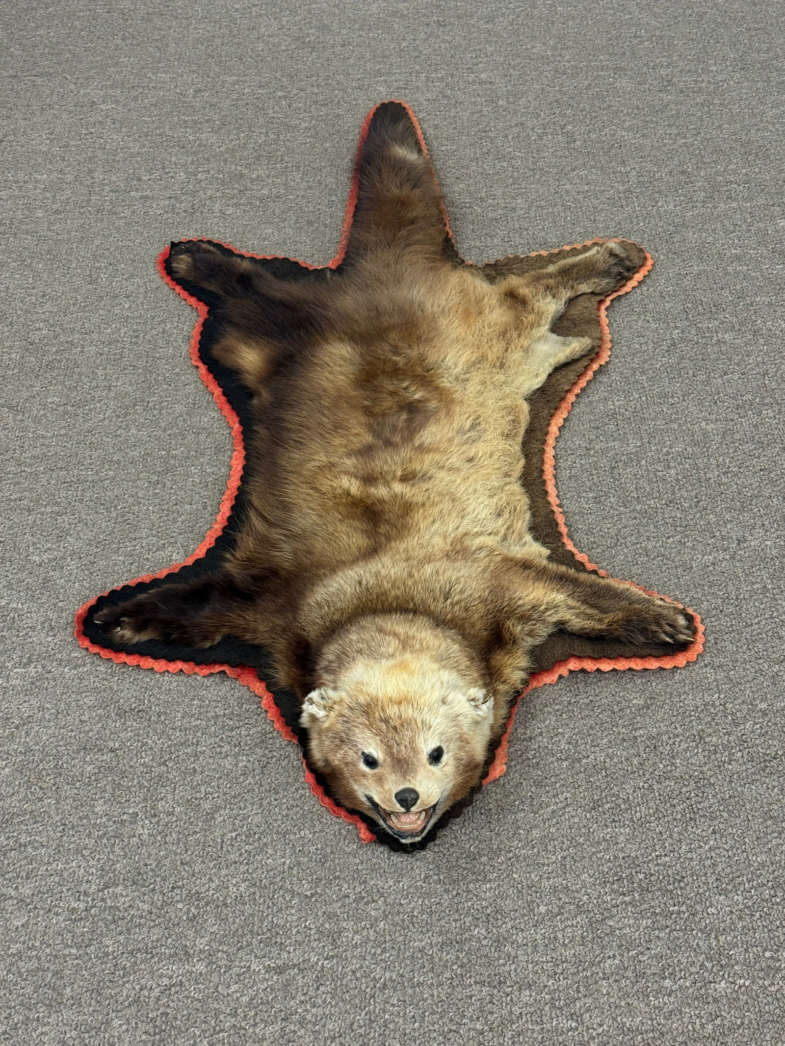 Fisher Fur Rug with Felt Backing: 46" long. From Camp Deerlands, Whitney Park.