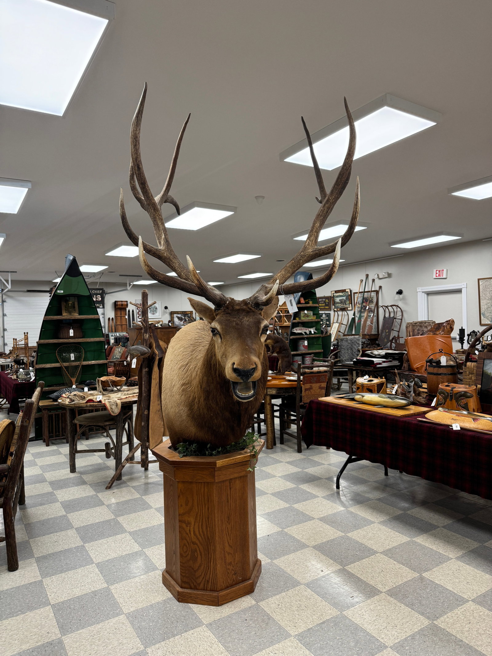 Impressive Trophy Bull Elk on Pedestal Stand: shot by Bob Marshall in Keene, NY. Professionally mounted, in very good condition, approximately 100" tall and 45" wide. Note: antlers are not removable and it is currently mounted to the pedestal