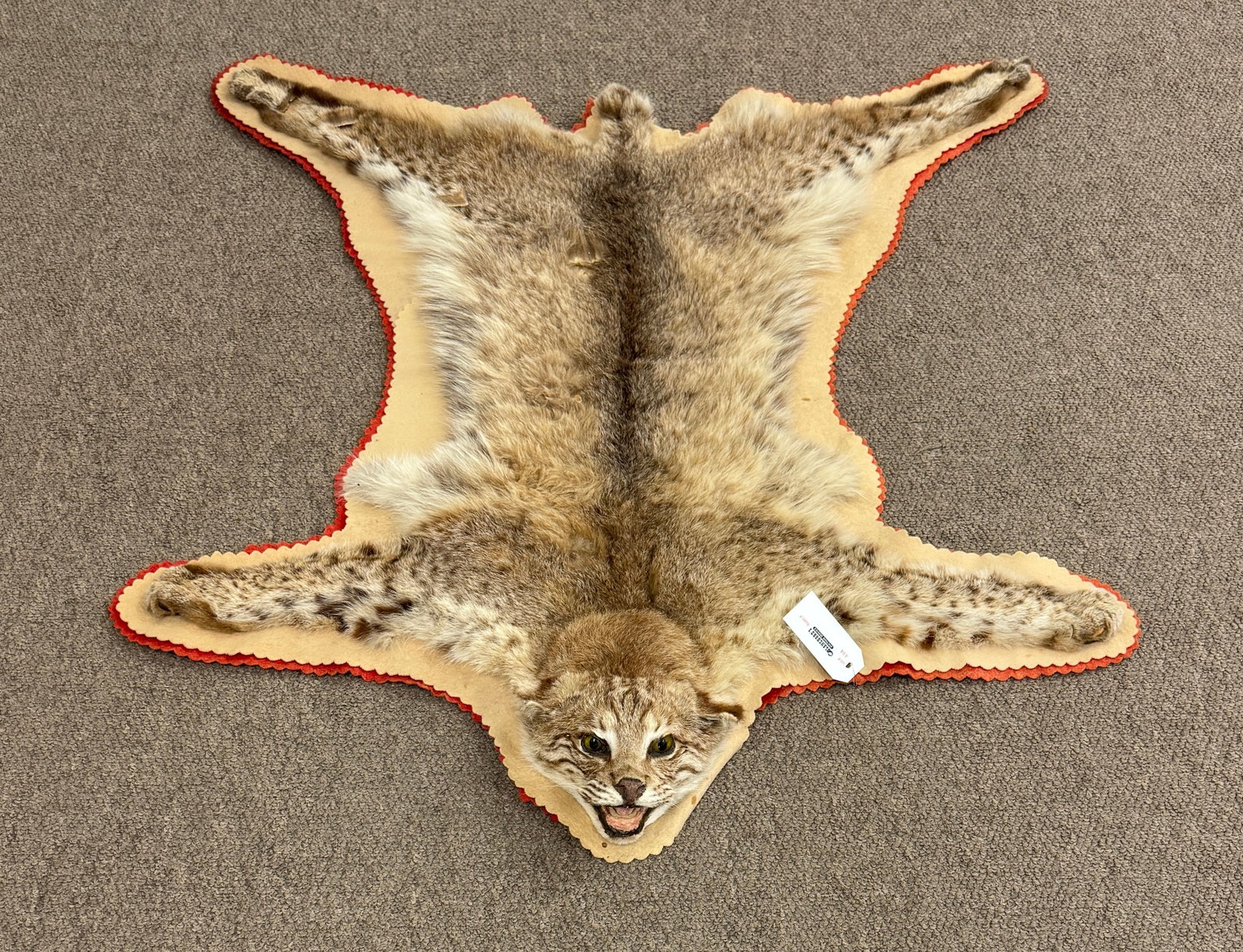 Early Bobcat Rug with Felt Backing: Some tears to fur. 42" long. From Camp Deerlands, Whitney Park.