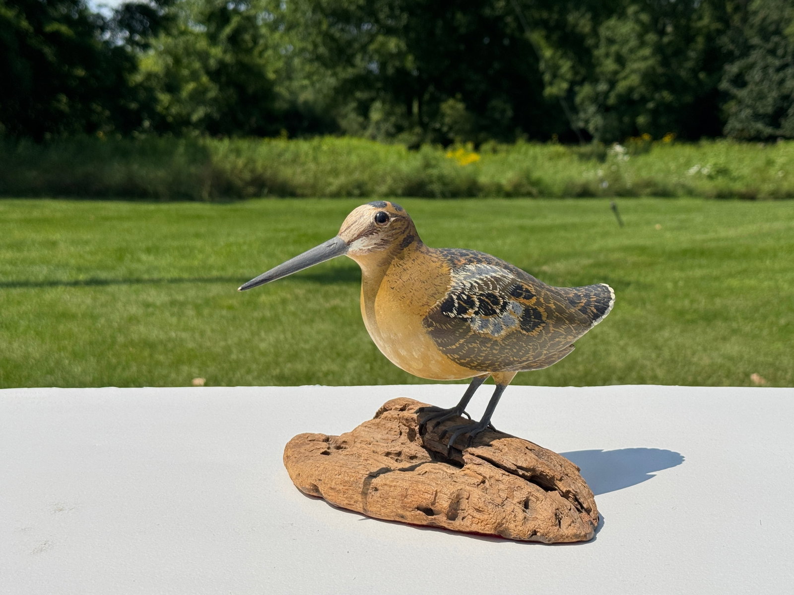 Reg Edwards Woodcock: circa 1960s, Mechanics Falls, Maine, Life Size, Excellent condition and paint, glass eyes, 7 1/2" tall.