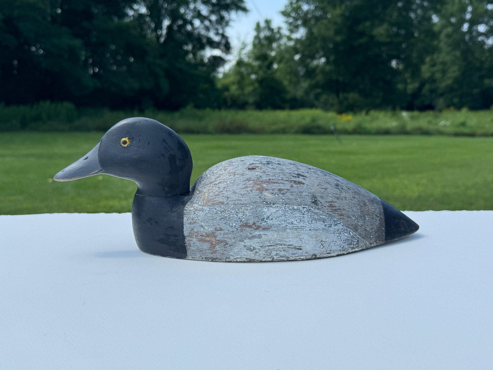 Stevens Hump Back 1890s Duck Decoy (1 of 5)