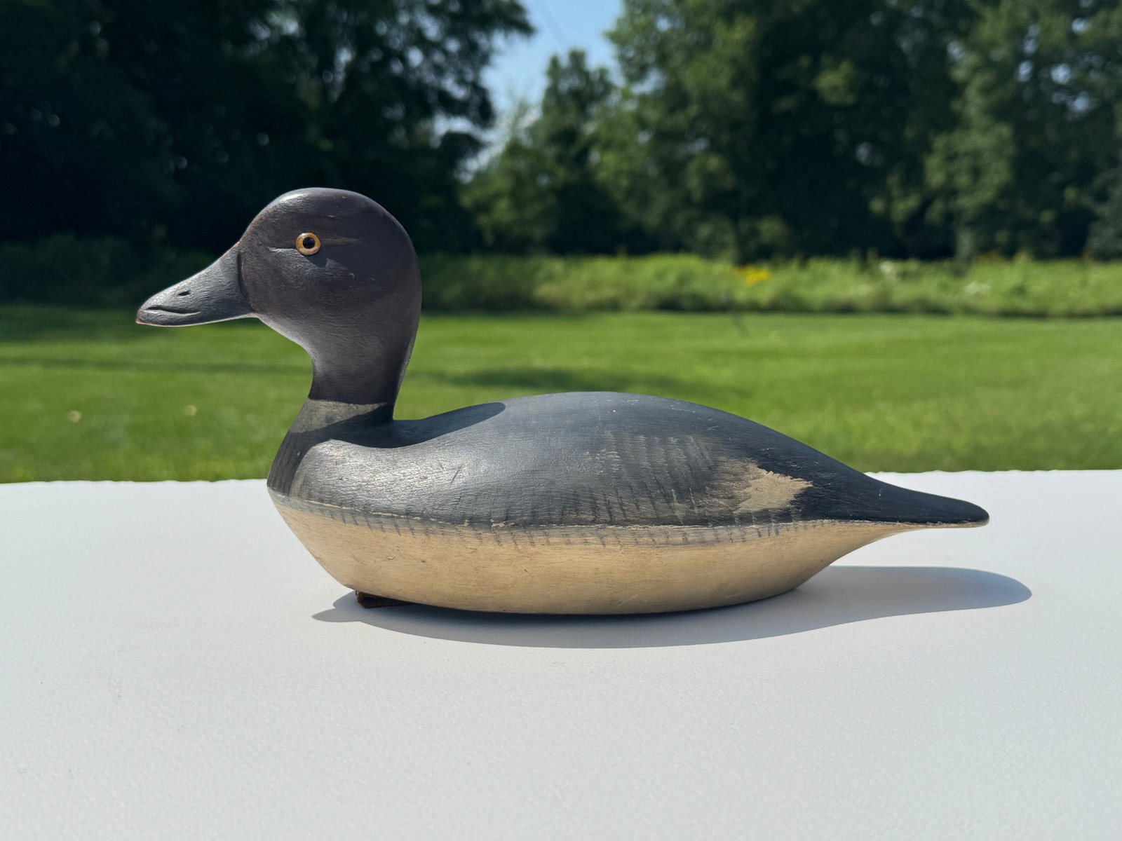 Fairman Davis (1884-1953) Hen Goldeneye (1 of 5)