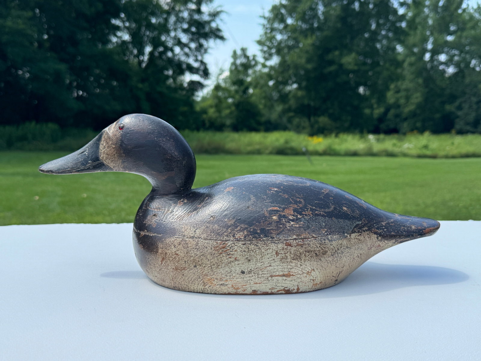 Mason Premier Hen Canvasback Duck Decoy (1 of 5)