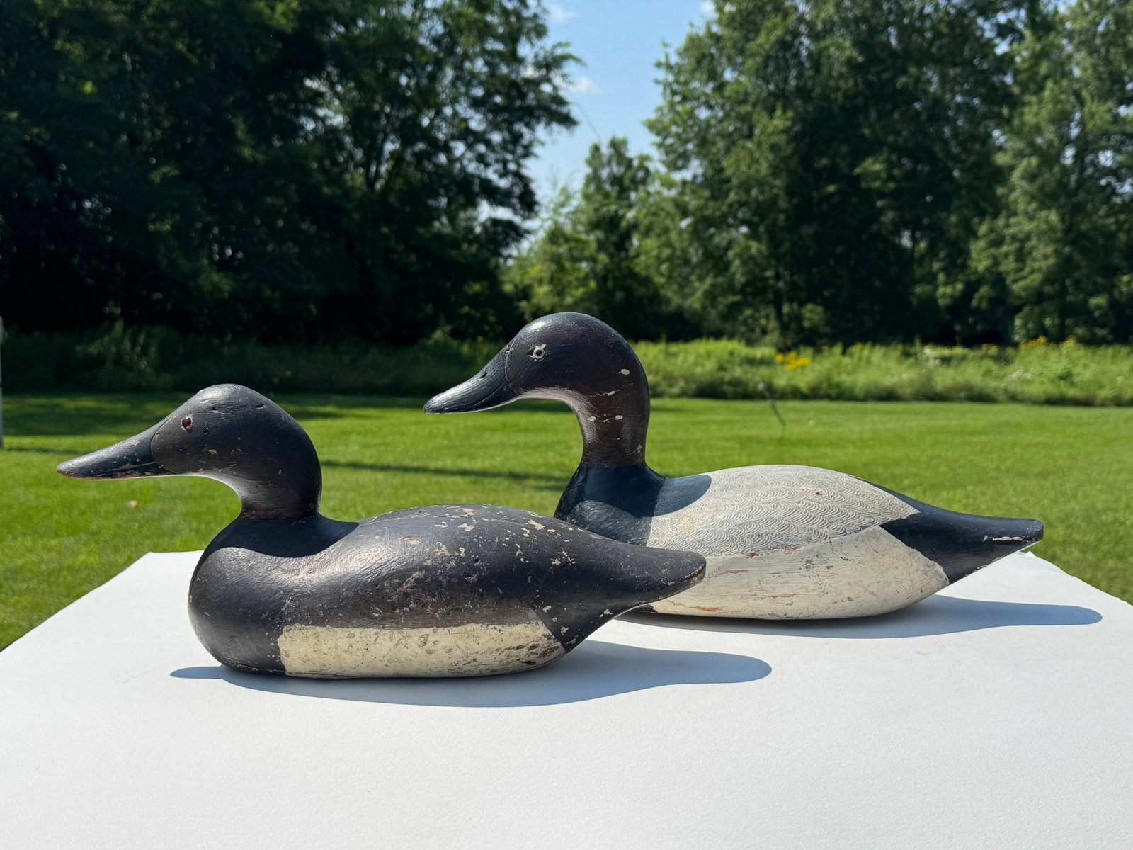 2 Canvasback Duck Decoys (1 of 6)