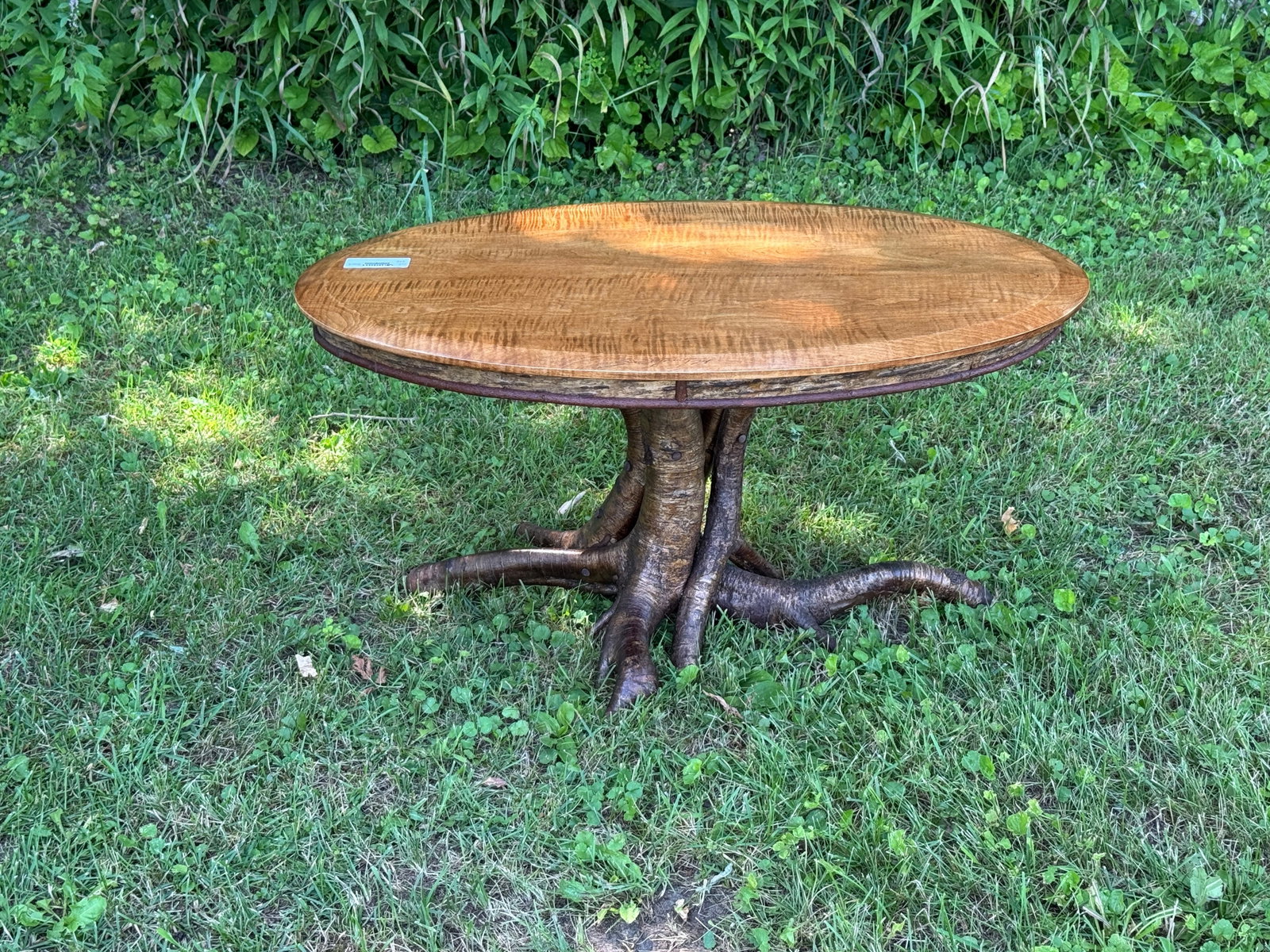 Jonathan Swartwort Adirondack Coffee Table: root base with curly maple beveled top. 32" x 17.5" x 17" tall. In mint condition with a beautifully hand-crafted top, exceptionally smooth to the touch.