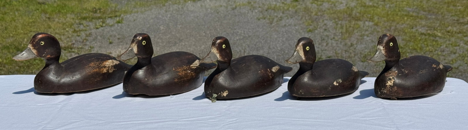 5 George Blevins Bluebill Hen Duck Decoys (1 of 6)