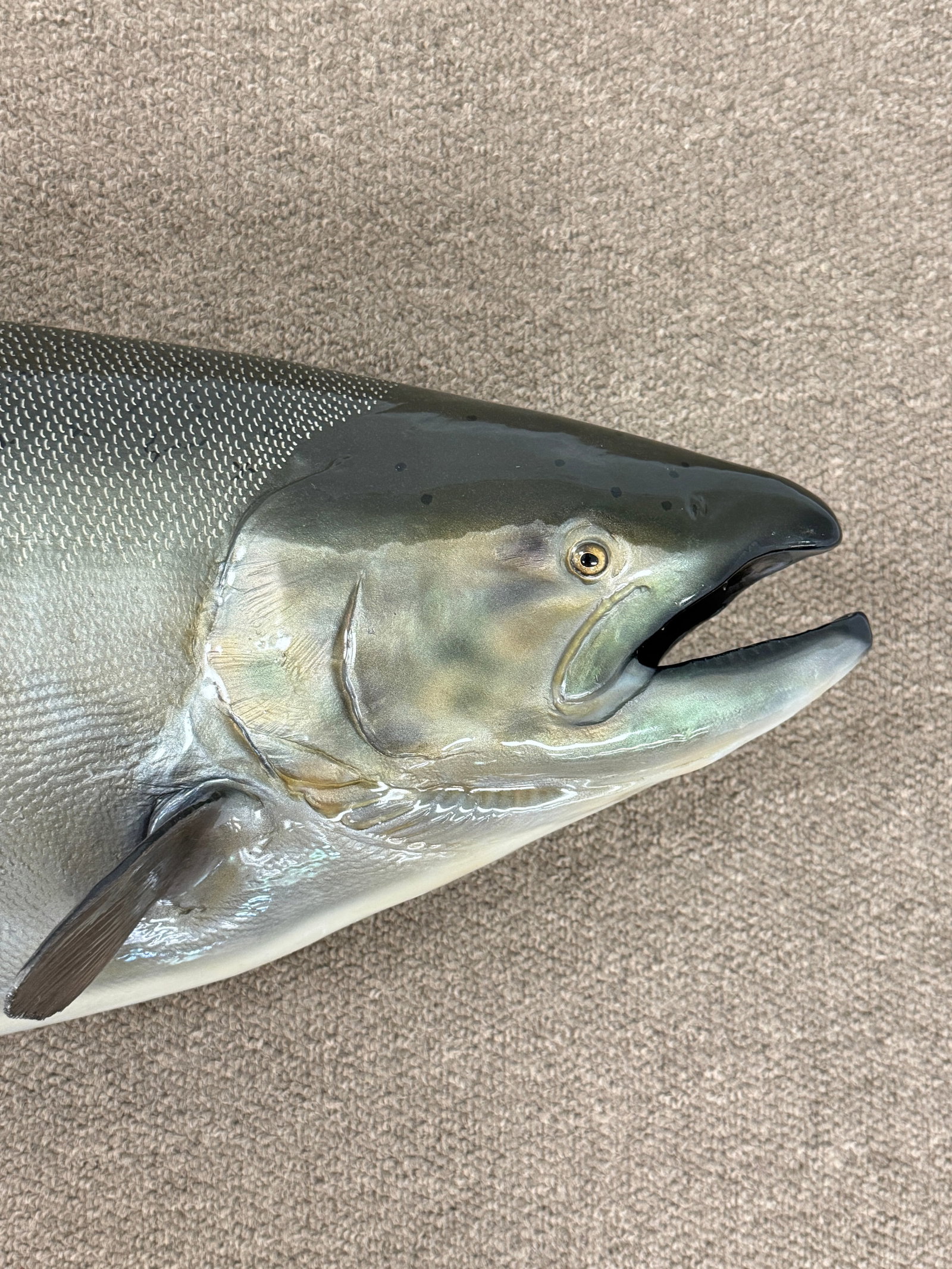 Fiberglass Salmon Mount - 2