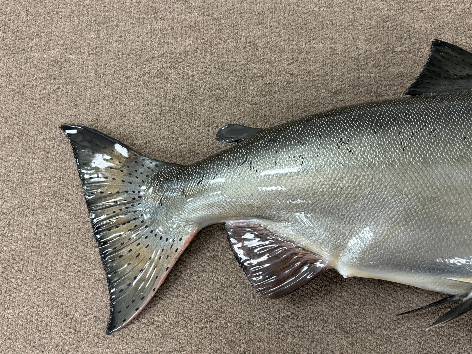 Fiberglass Salmon Mount - 3