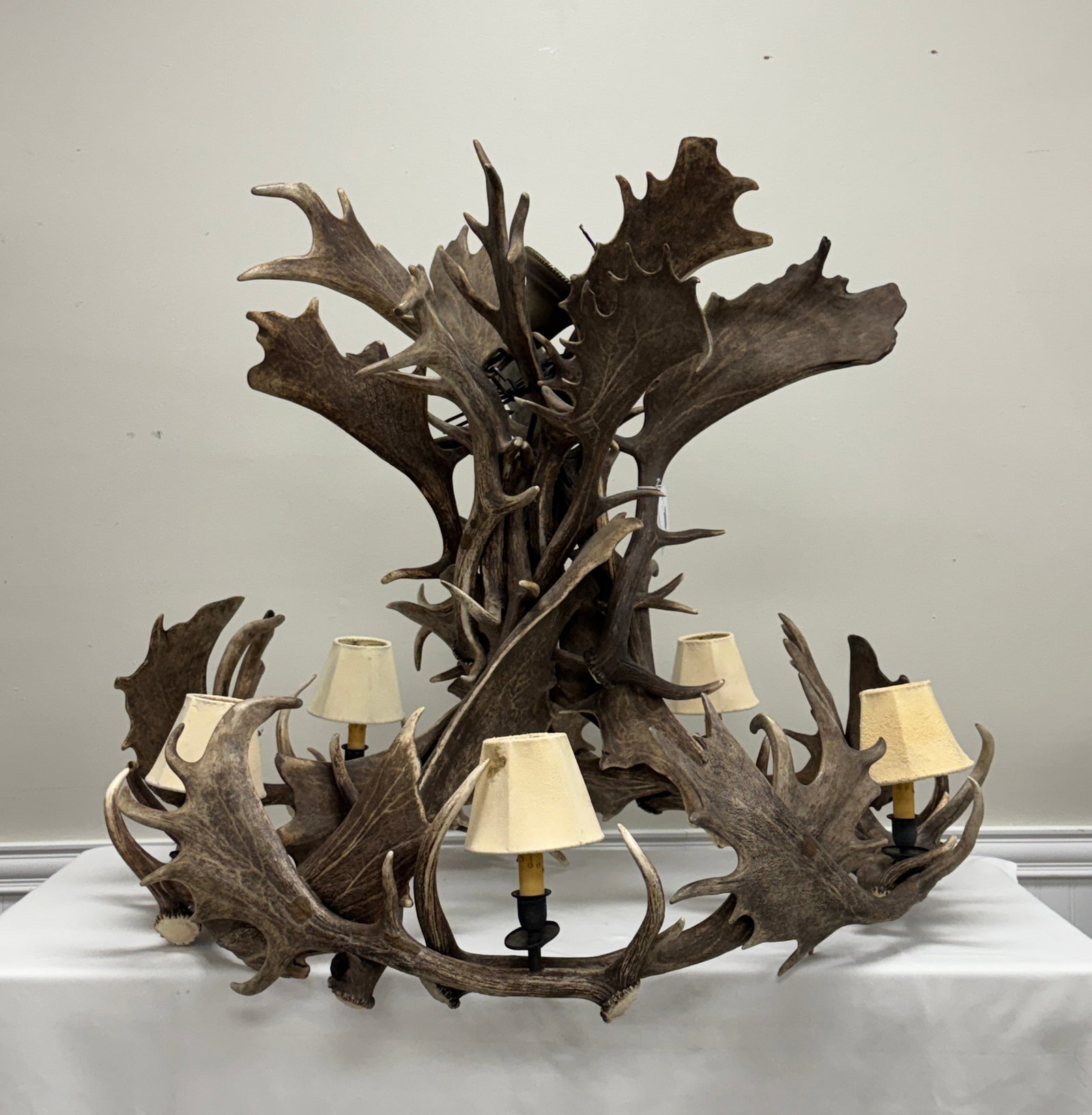 Impressive Antler Hanging Chandelier: approximately 3' in diameter and 34" tall. 5 Lights. In very good condition, ready to hand and use. Made from fallow deer antler sheds.