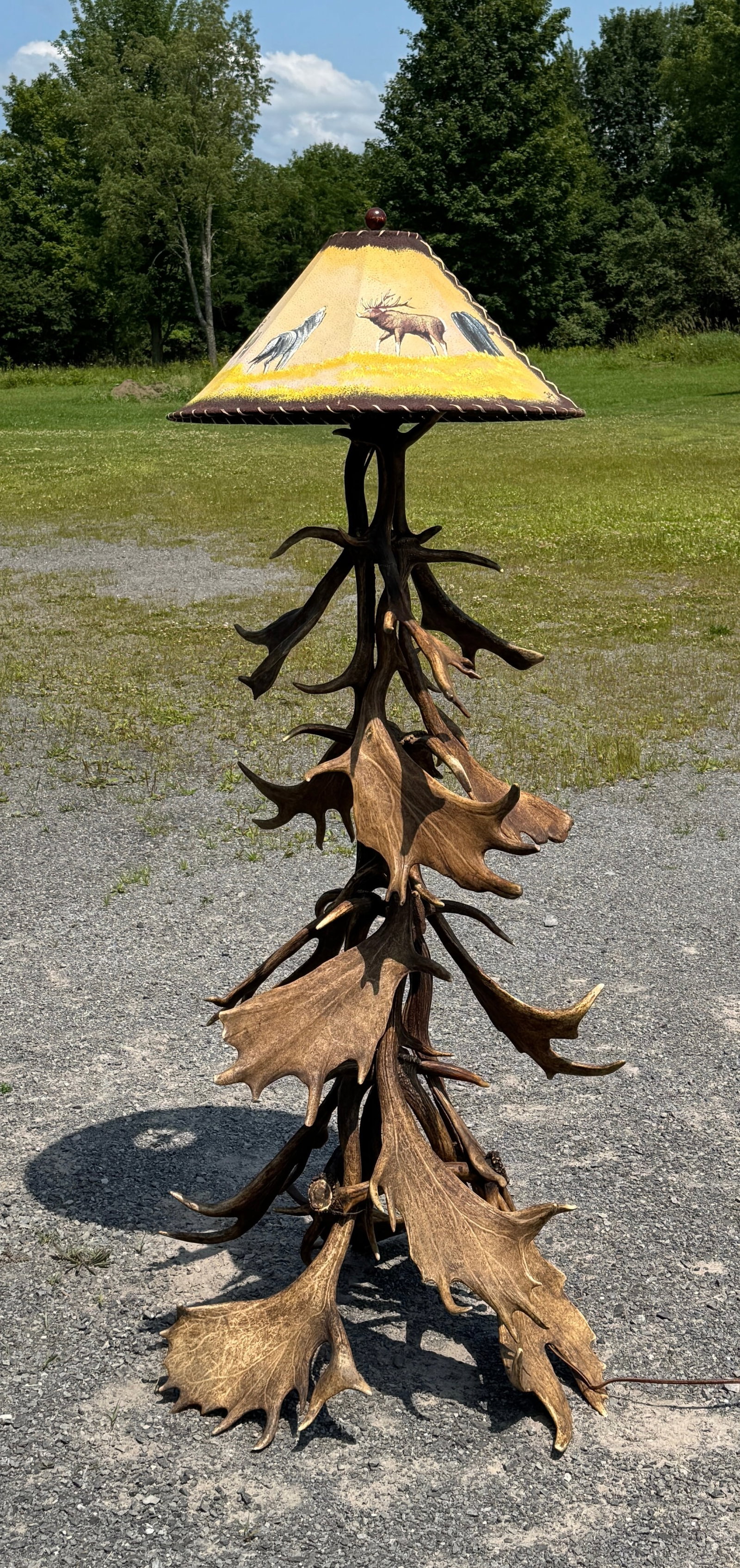 Fallow Deer Antler Floor Lamp: with hand painted rawhide shade. 66" tall with a 24" diameter shade. 2 antlers near top are cracked (see photos)