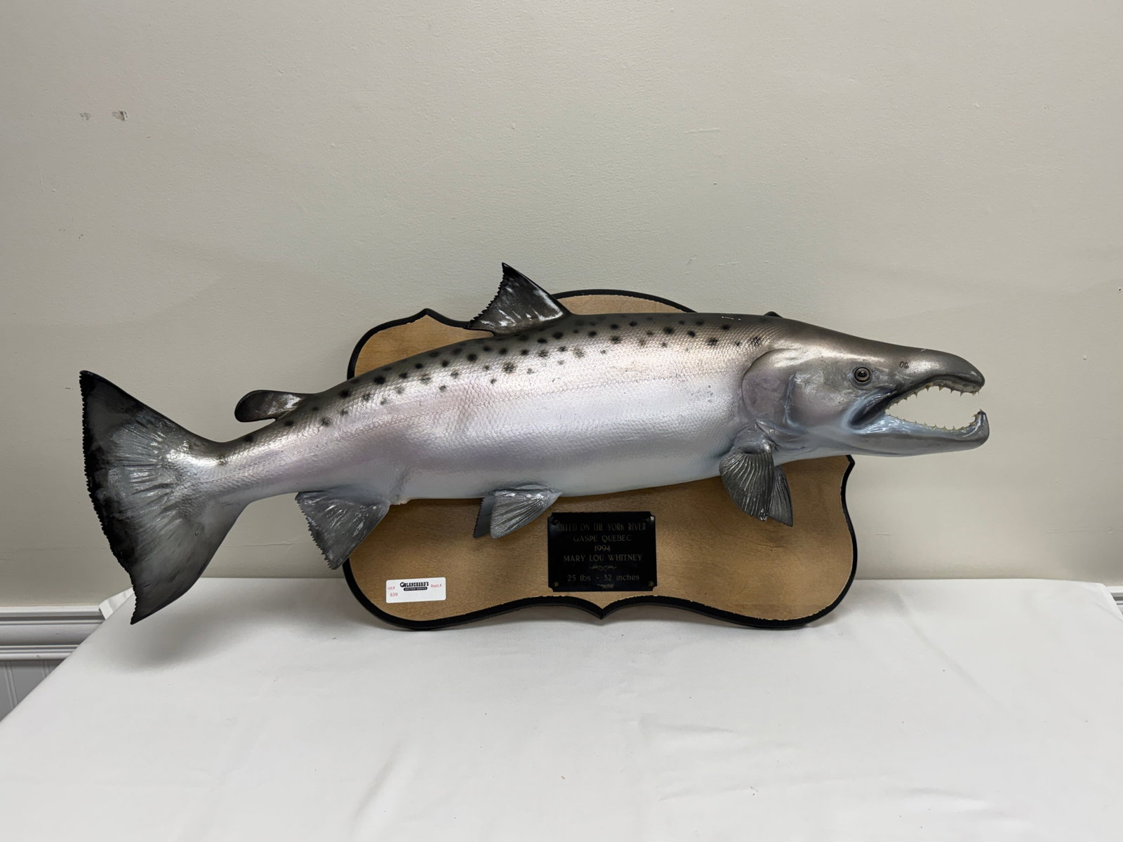 Salmon Caught by Marylou Whitney (1 of 3)