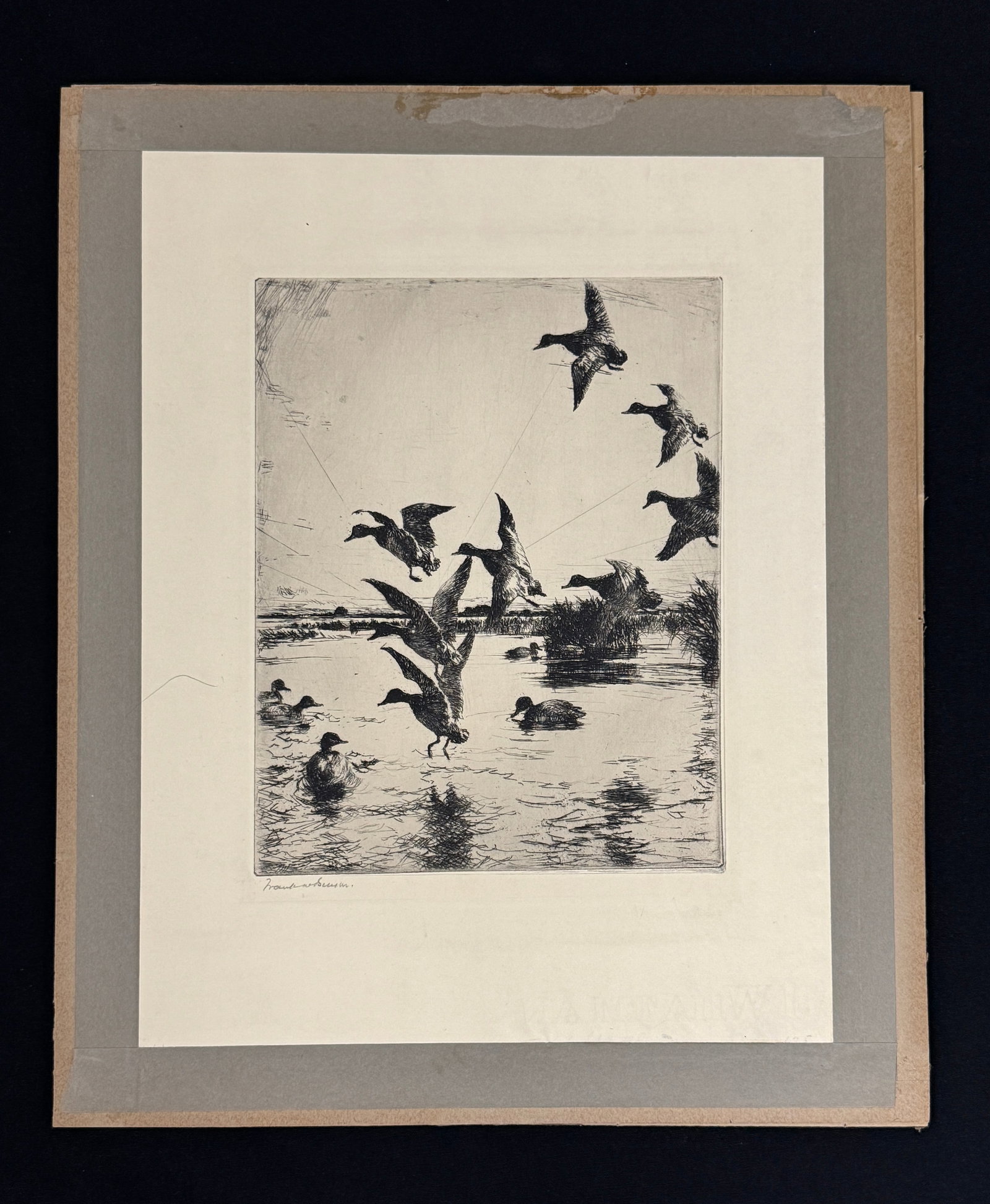 Frank W. Benson "In Island Pond" Etching: artist signed. Mounted on original backer board. 14.25" x 17.25" From The Estate of Dr. Dean Hyde.