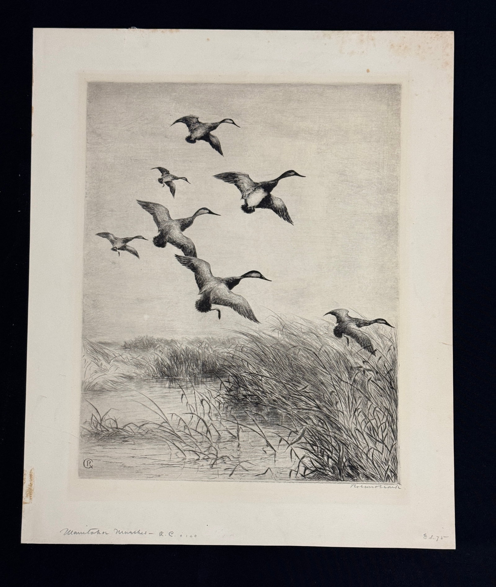 Roland Clark "Manitoba Marshes" Etching: 17" x 20.5". Artist signed. From The Estate of Dr. Dean Hyde.
