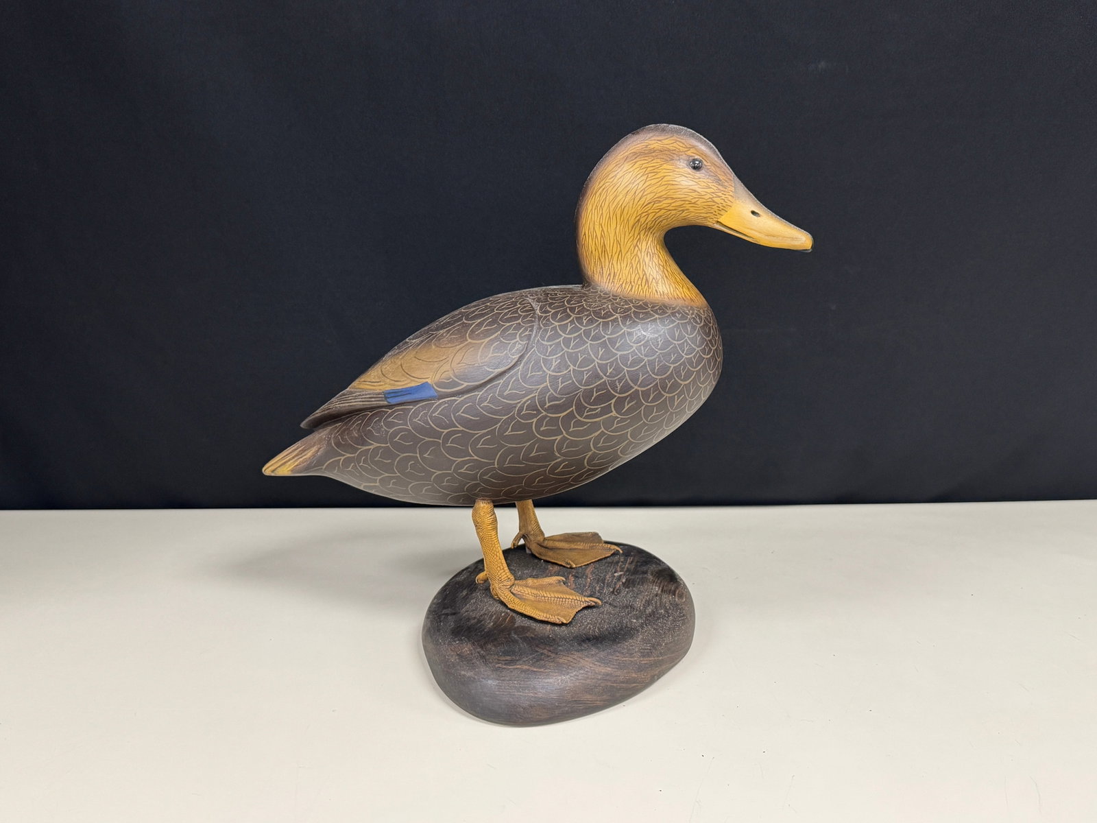 Clarence Fennimore Standing Black Duck: Wrightstown, NY. Signed CGF. In excellent condition.