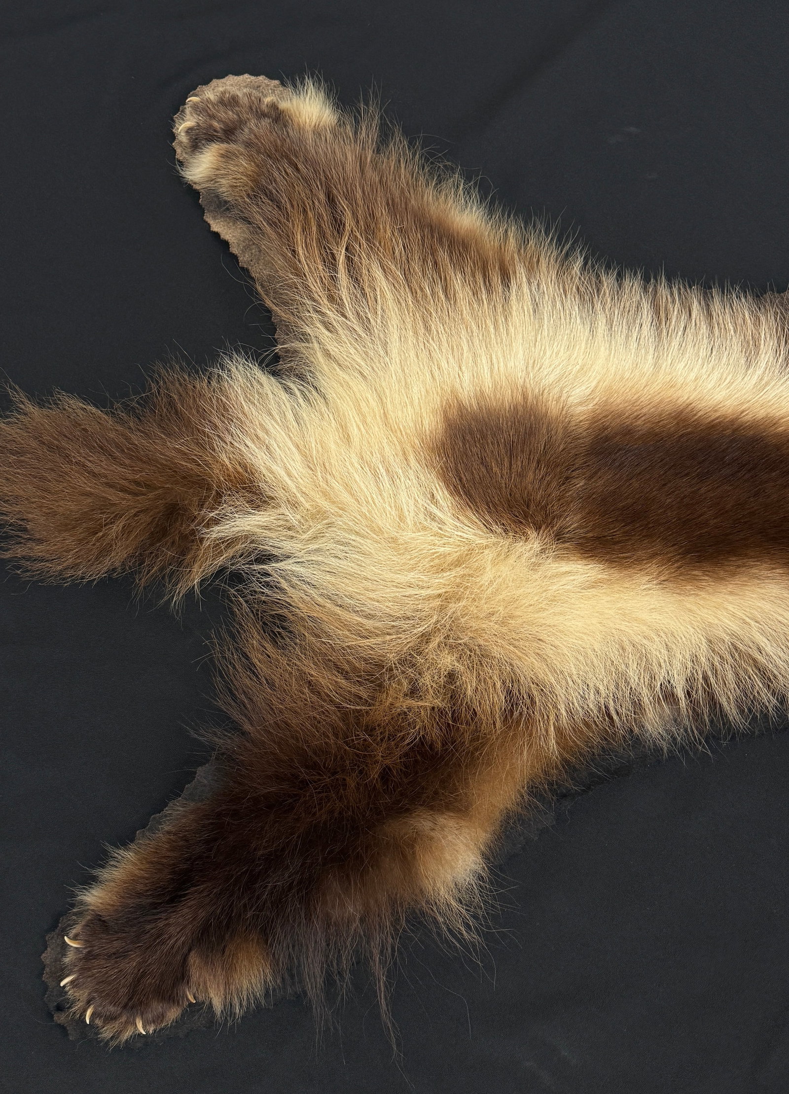 Badger Rug - 4