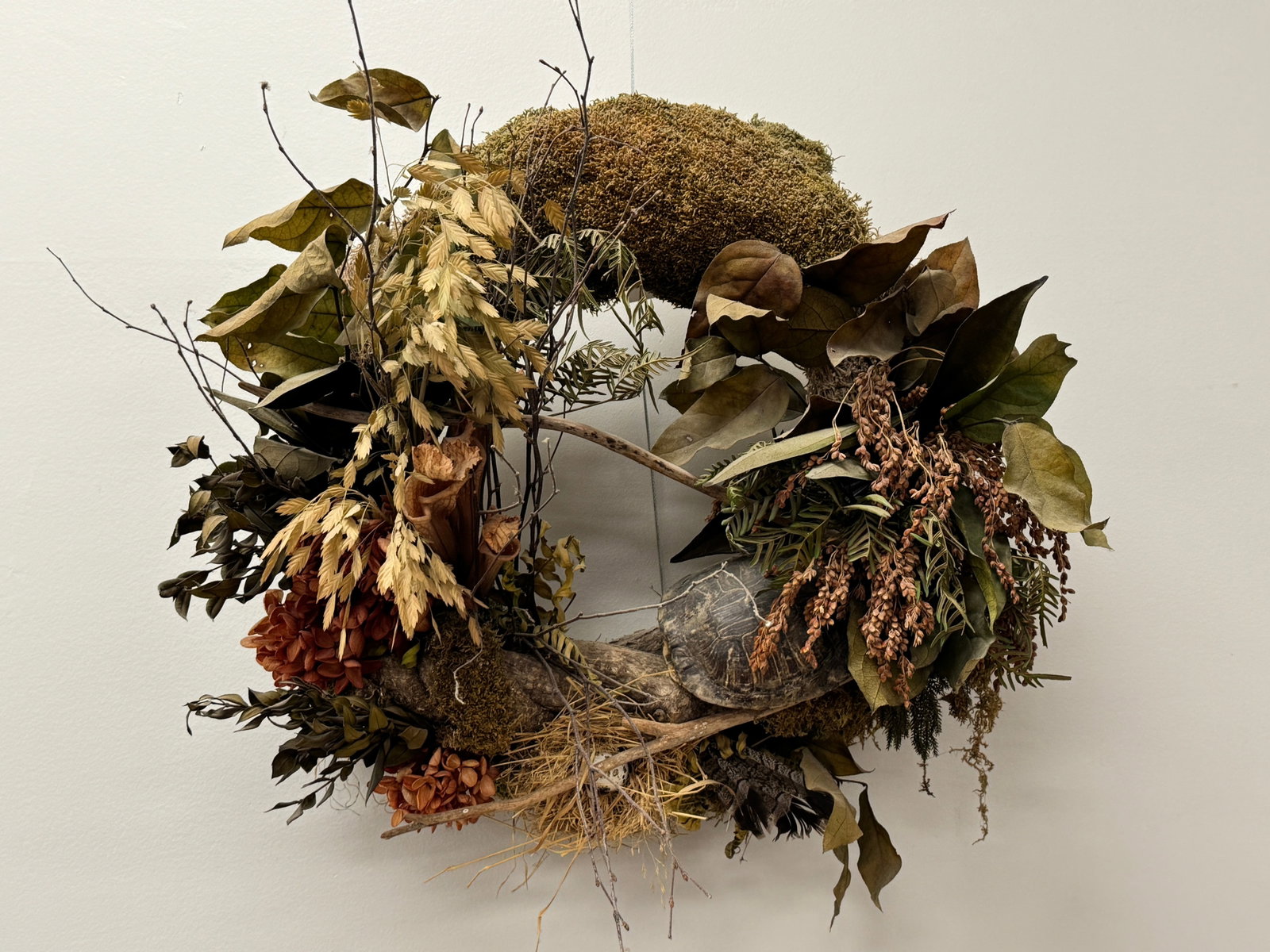 Adirondack Wreath with Turtle Shell & Foliage (1 of 3)