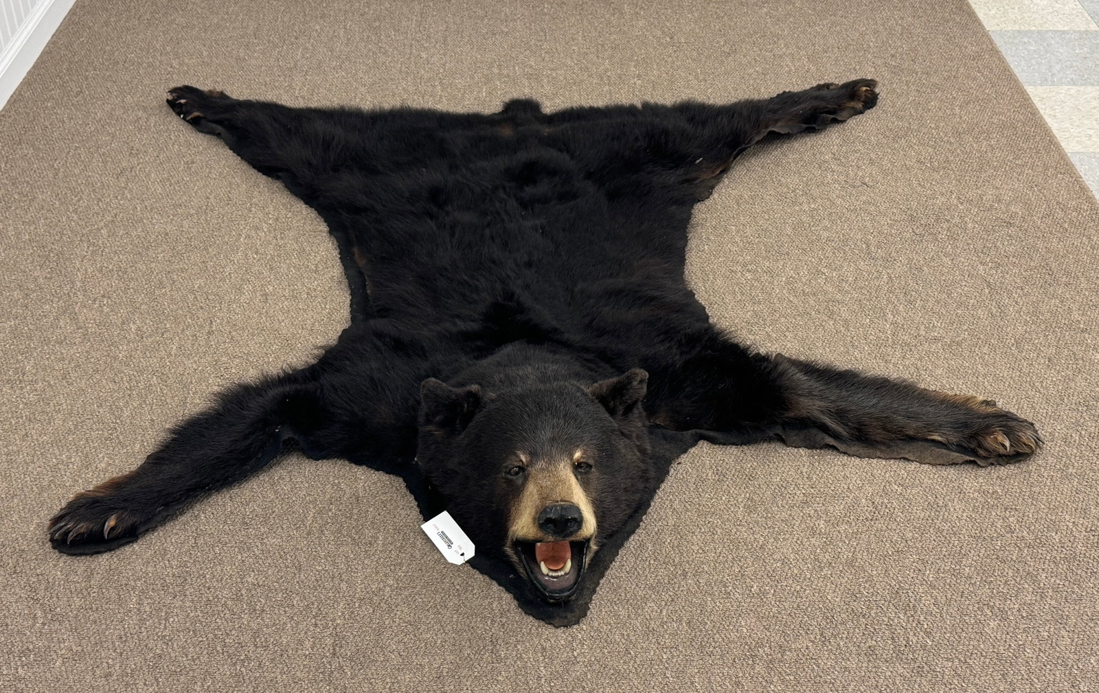 Black Bear Rug with Felt Backing: In good condition. From Whitney Park.