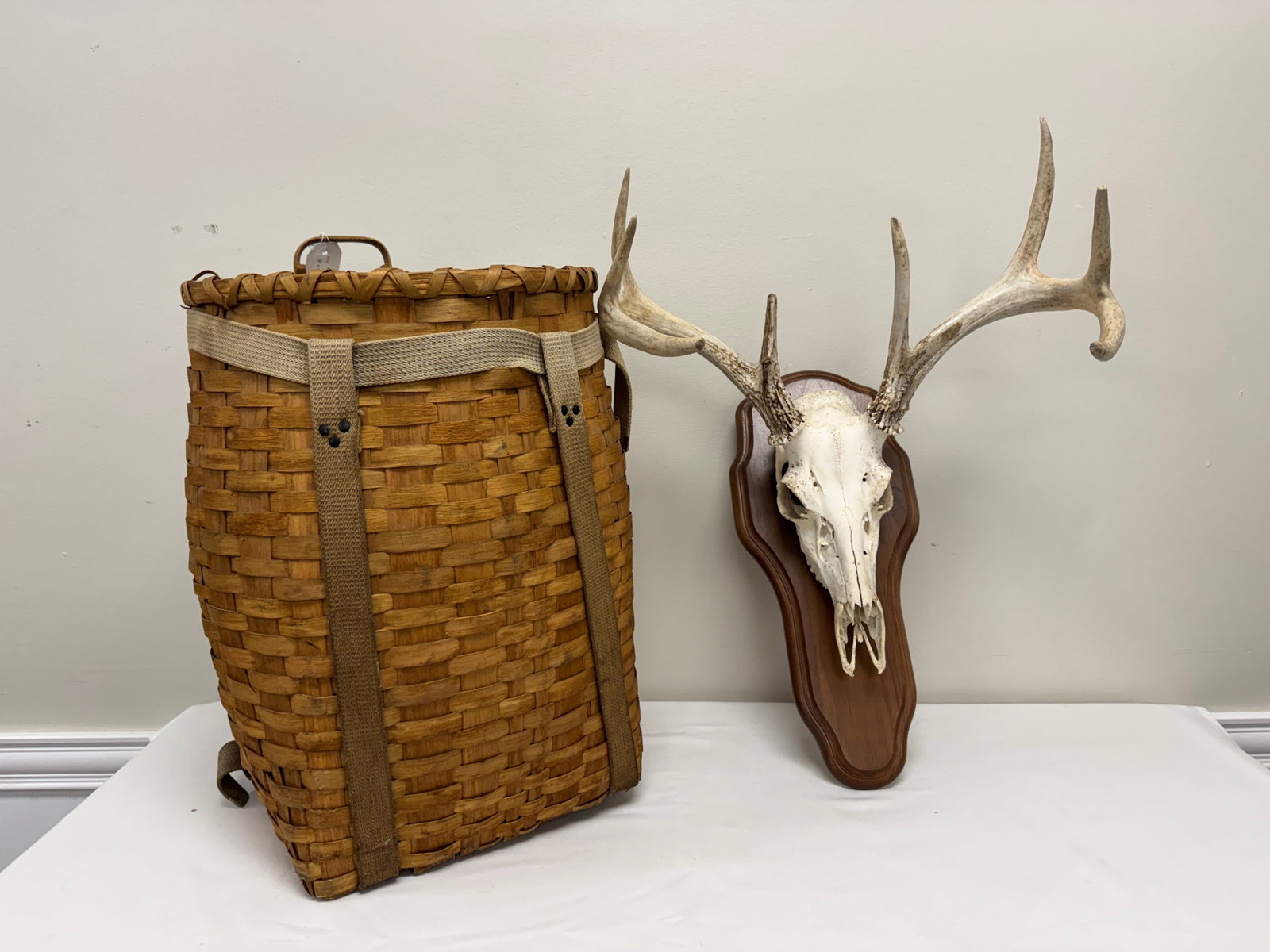 Adirondack Pack Basket and Whitetail Skull Mount (1 of 3)