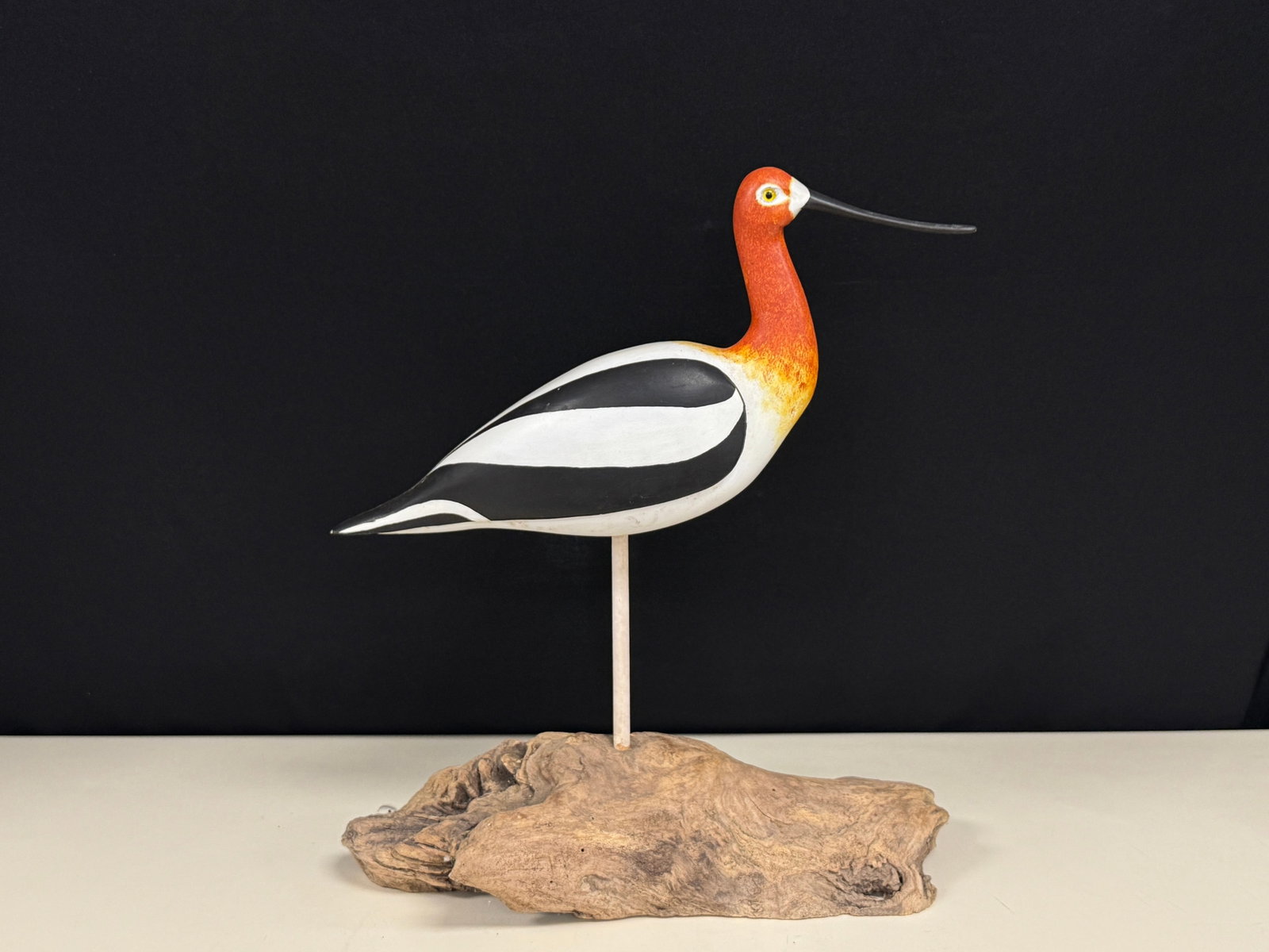 American Avocet Decoy (1 of 4)