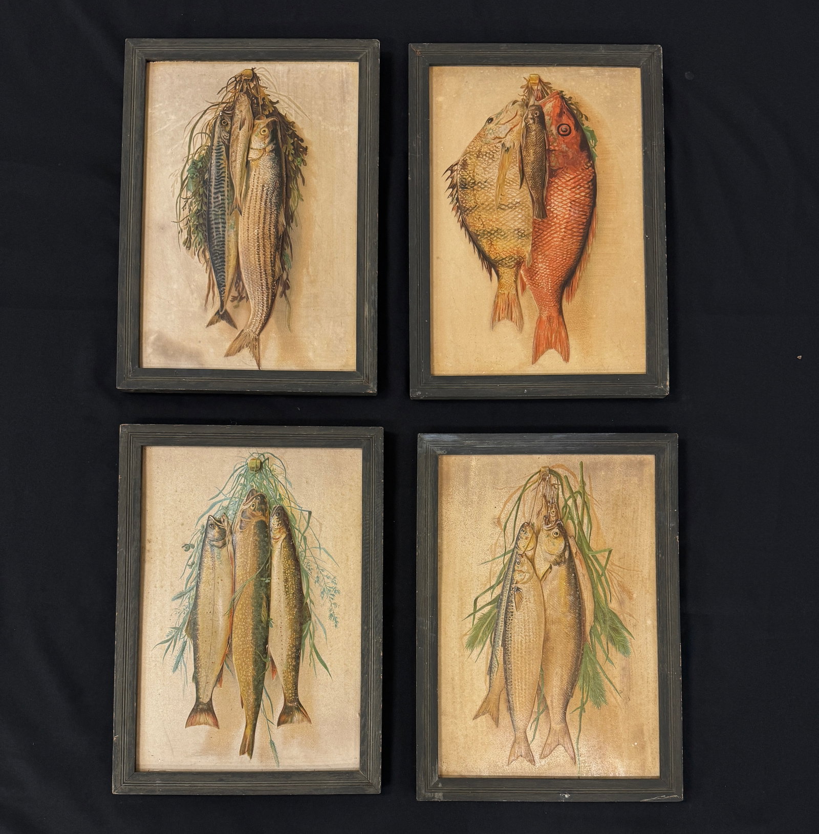 4 Framed Fish Prints: 12.5" x 17.5" From the Trappers Cabin at Salmon Lake in Whitney Park.