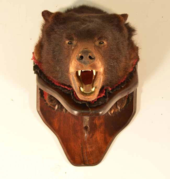 Black Bear Head And Paws Wall Mount