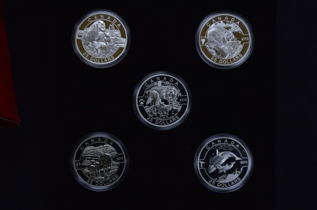 2013 Canadian Fine Silver 5 Coin Set (1 of 3)