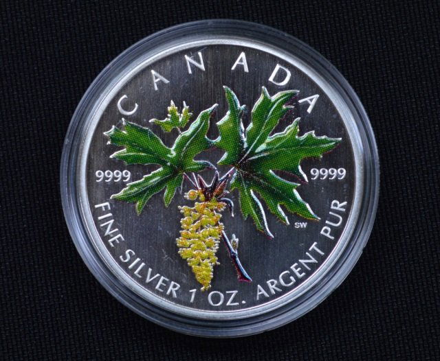 2005 Canadian Fine Silver $5 Coin - 1 oz (1 of 3)