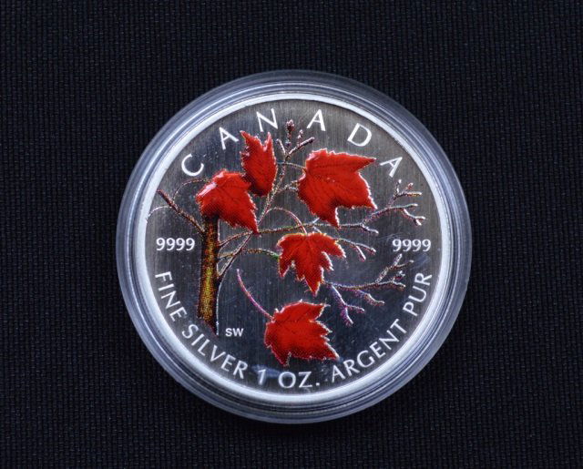 2004 Canadian Fine Silver $5 Coin - 1oz (1 of 3)