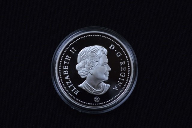 2009 Canadian Sterling Silver $1 Coin - 25.175 gm (1 of 3)