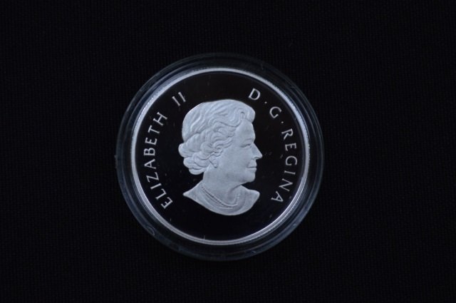 2009 Canadian Fine Silver $4 Coin - 15.87 grams (1 of 3)