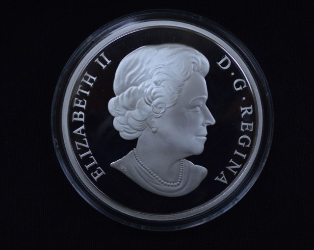 2012 Canadian Fine Silver $50 Coin - 5 oz (1 of 3)