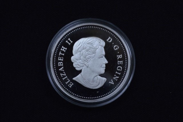 2013 Canadian Fine Silver $1 Coin - 23.17 grams (1 of 3)