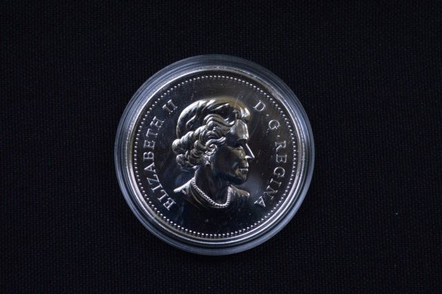 2013 Canadian Fine Silver $1 Coin - 23.17 grams (1 of 3)