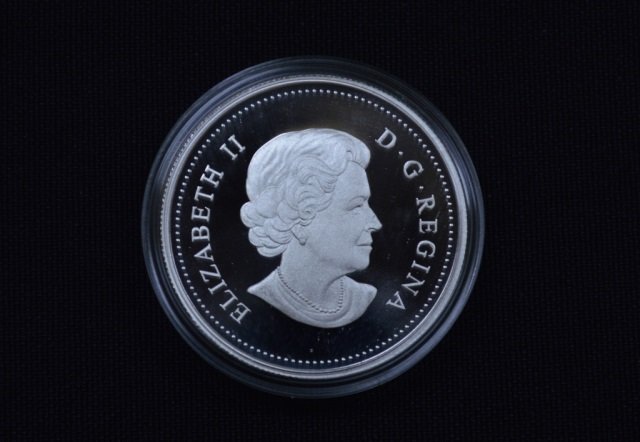 2013 Canadian Fine Silver $1 Coin - 23.17 grams (1 of 3)