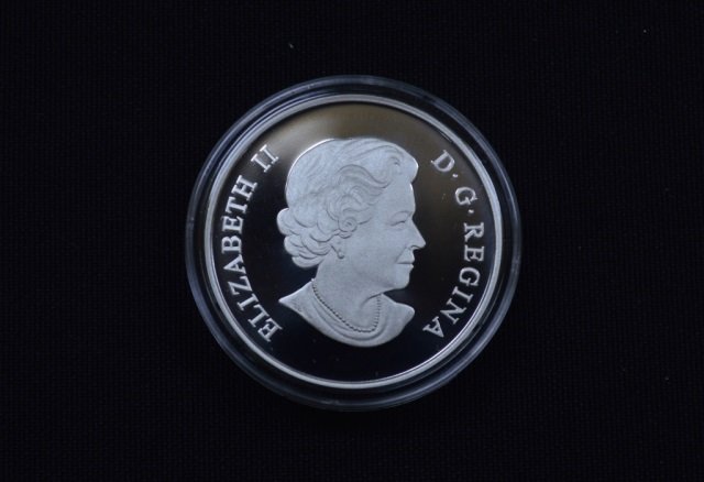 2013 Canadian Fine Silver $25 Coin - 30.76 grams (1 of 3)