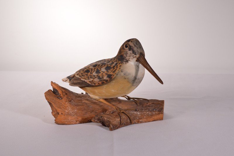 Mike Wavercak Memphis, NY Woodcock Wood Carving (1 of 3)
