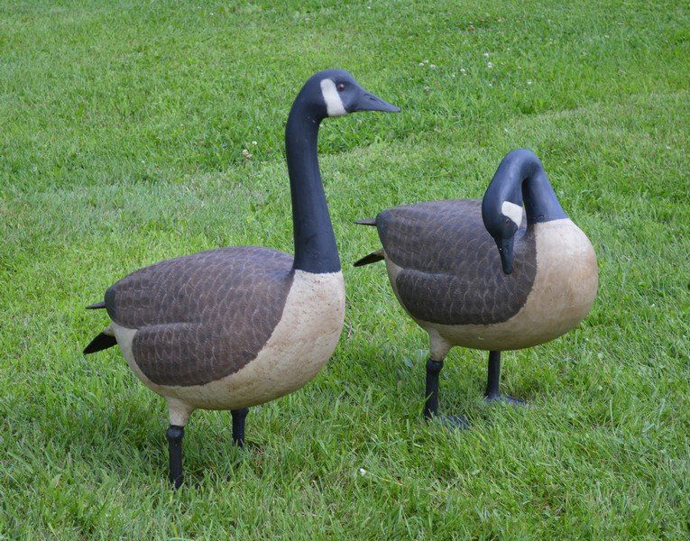 Two Life-size Carved Wooden Geese (1 of 2)