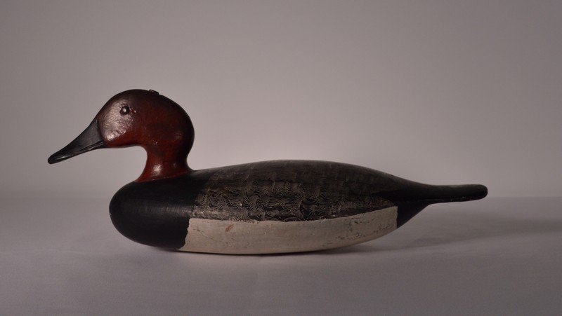 Stevens Drake Canvasback Duck Decoy (1 of 3)