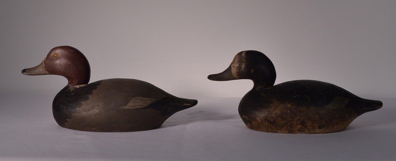 Mason Challenge Grade Short Body Type Redheads (1 of 3)