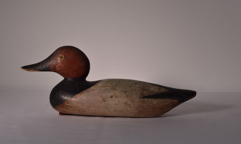Mason Drake Canvasback Duck Decoy (1 of 3)