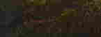 item-46922938=3